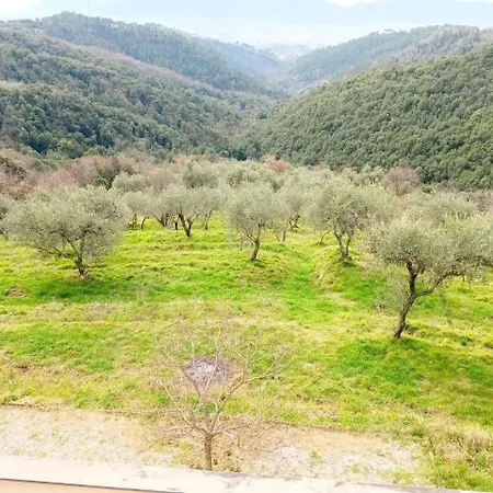 Affittacamere St Roch - Colazione, Bagno Annesso E Giardino - La Spezia