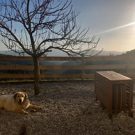 Pensjonat Affittacamere St Roch - Colazione, Bagno Annesso E Giardino - La Spezia *